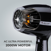 Hector Professional 2000 Watt Hair Dryer for Women